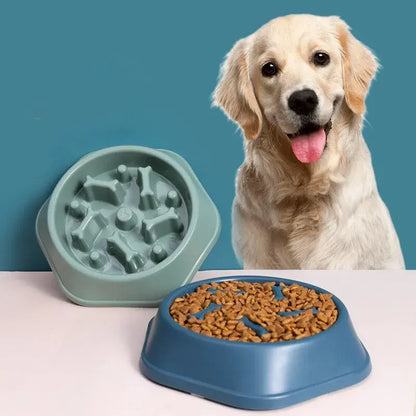 Schlecknapf für Hunde