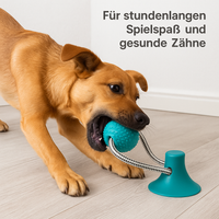Interaktives Hundespielzeug mit Saugball