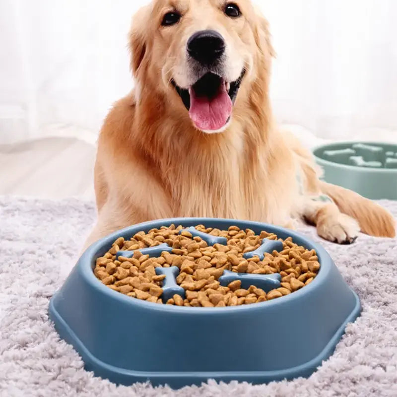 Schlecknapf für Hunde