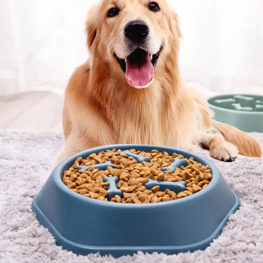 Schlecknapf für Hunde