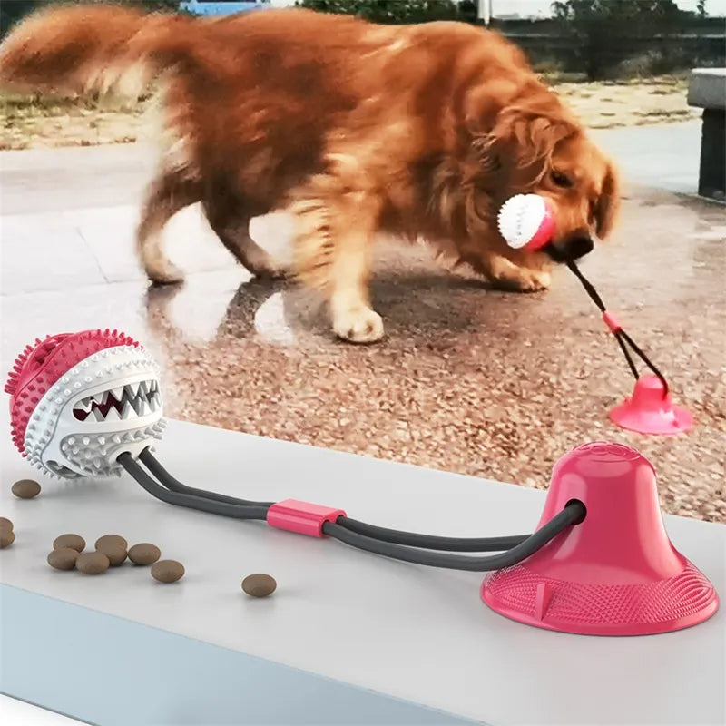 Interaktives Hundespielzeug mit Saugball