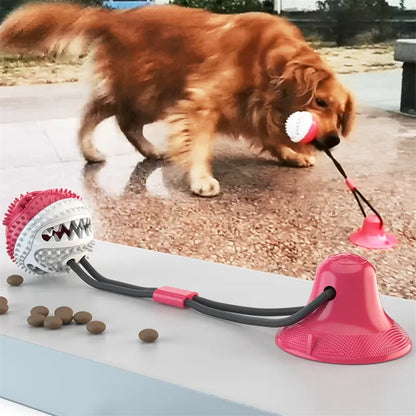 Interaktives Hundespielzeug mit Saugball