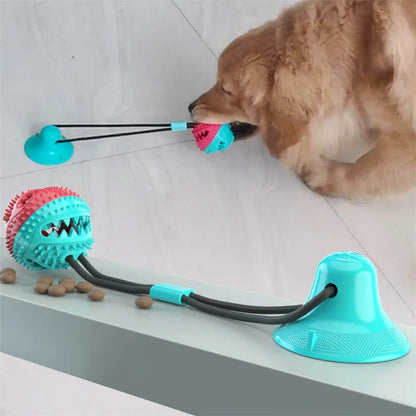 Interaktives Hundespielzeug mit Saugball
